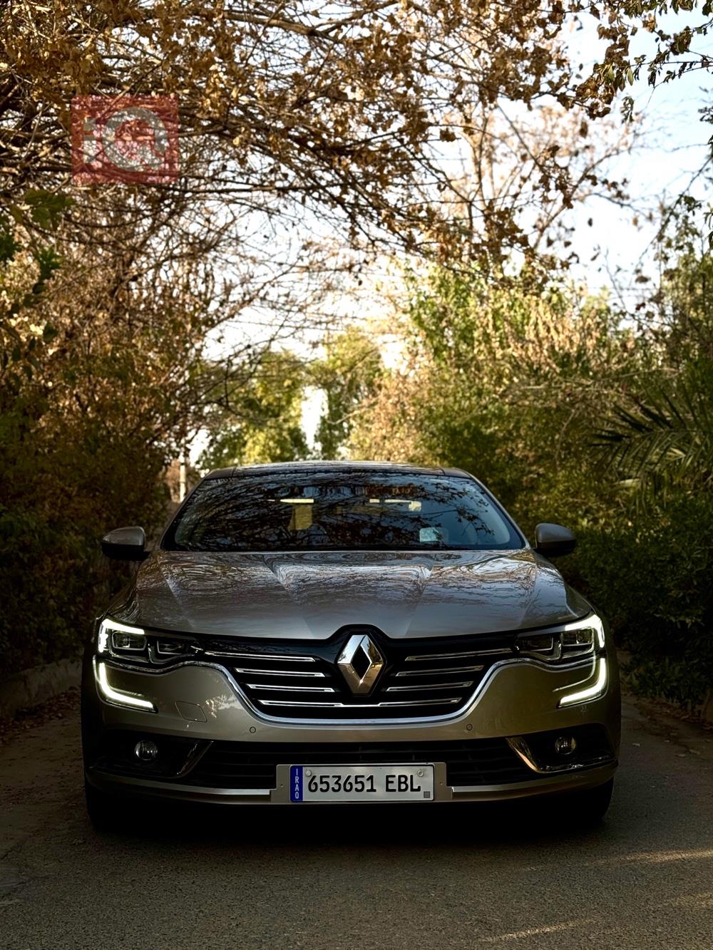 رينو تلسمان